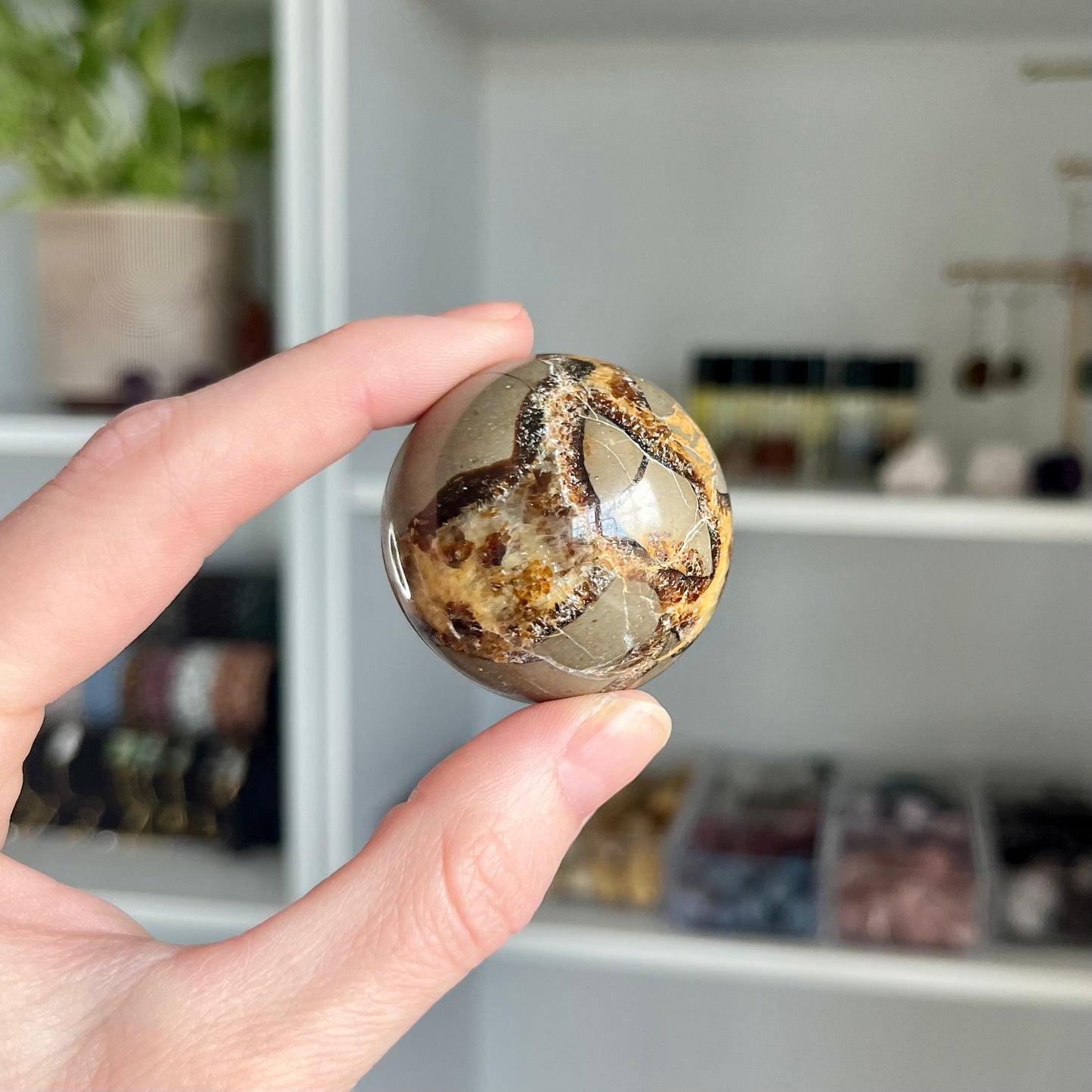Septarian Sphere