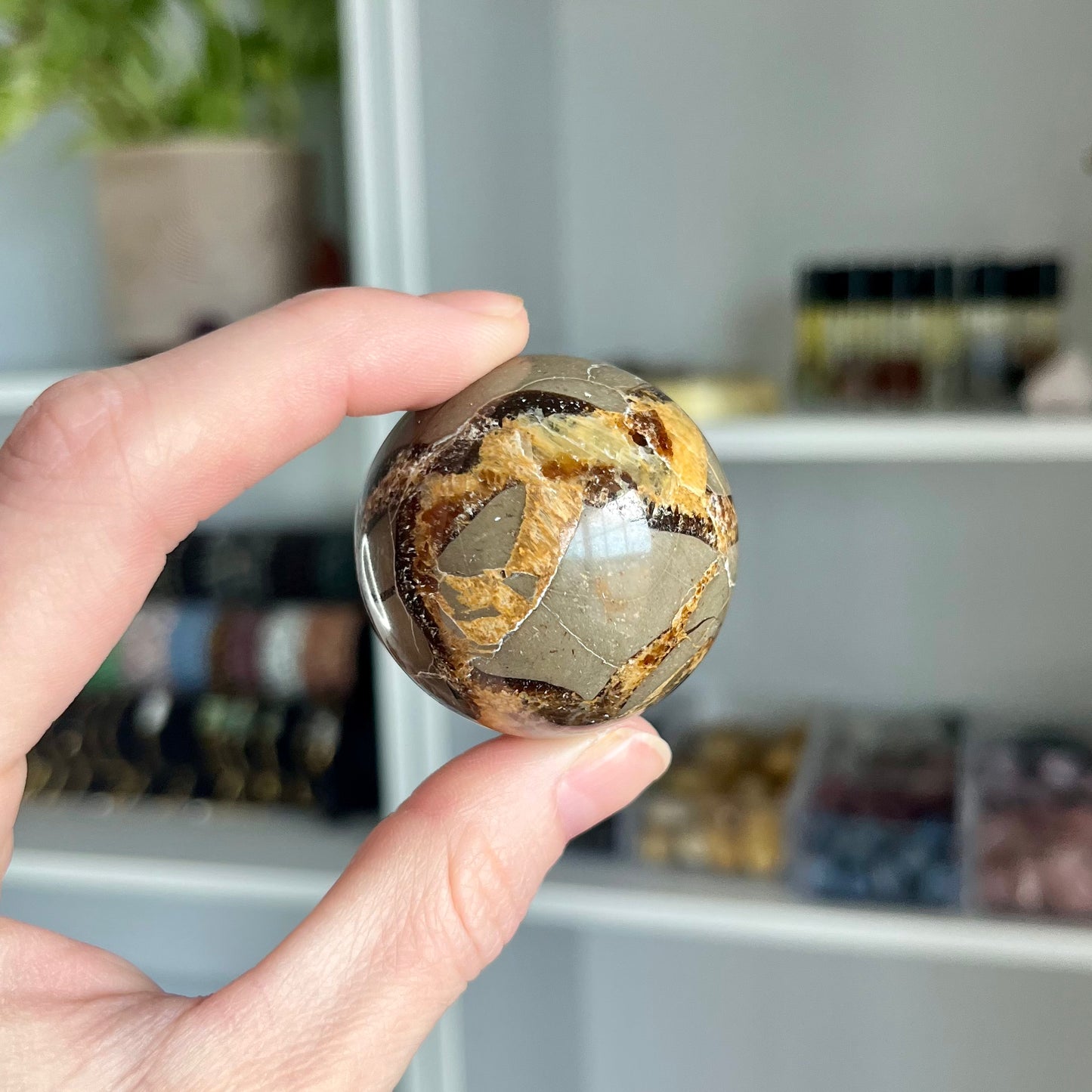Septarian Sphere