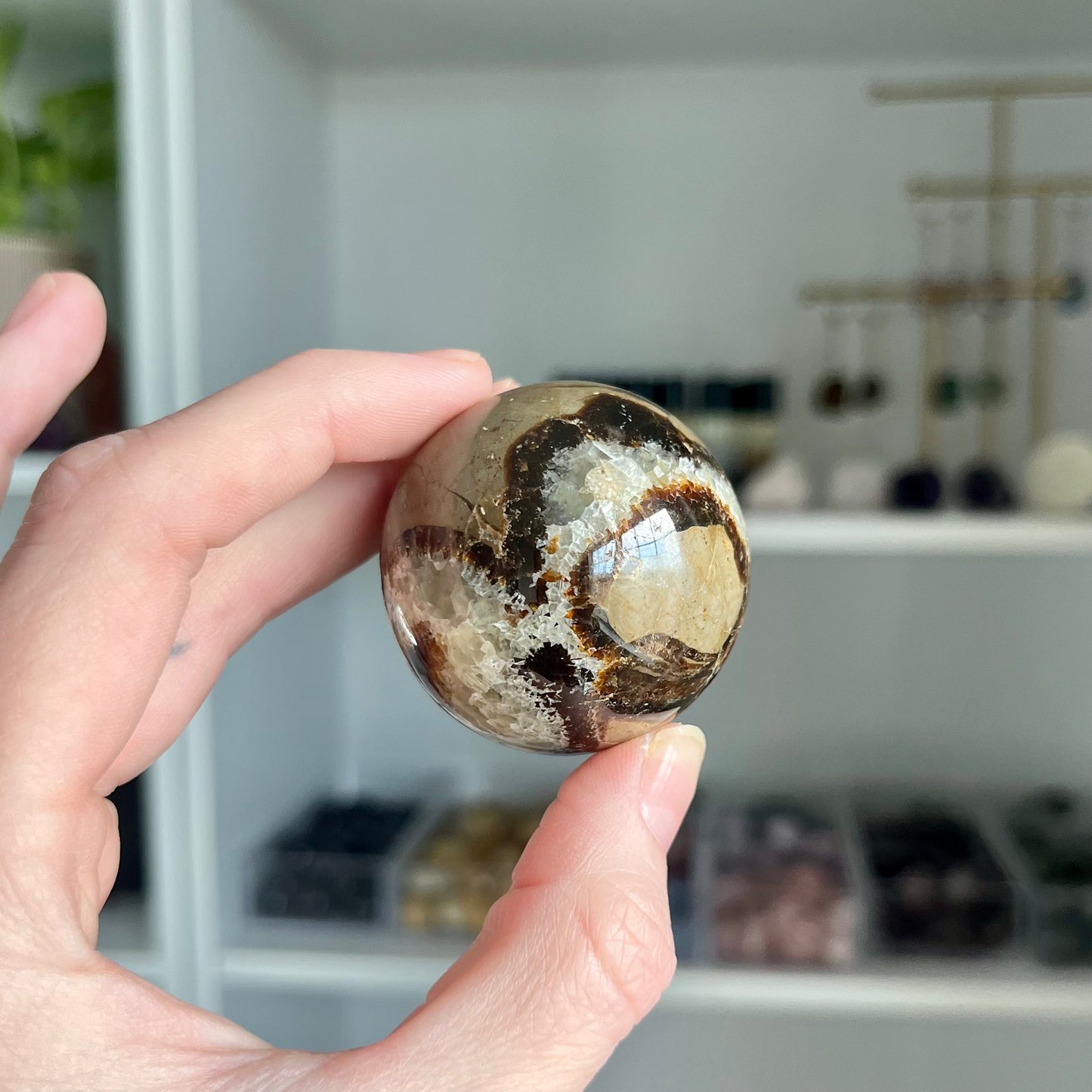 Septarian Sphere
