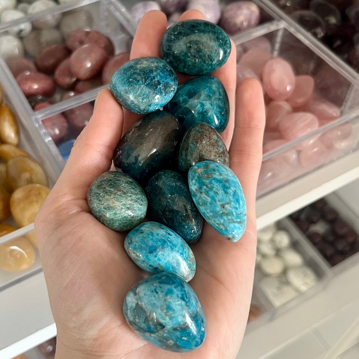 Blue Apatite Tumble