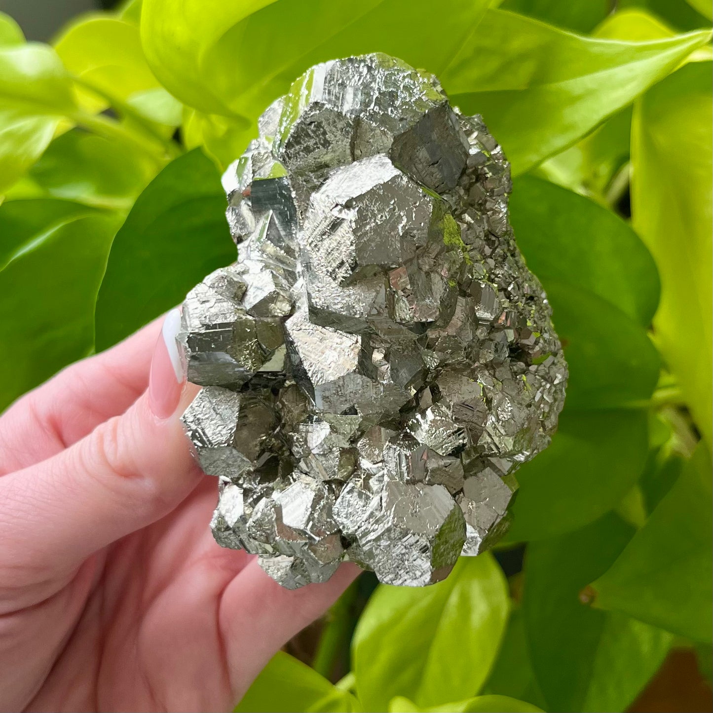 Pyrite Specimen