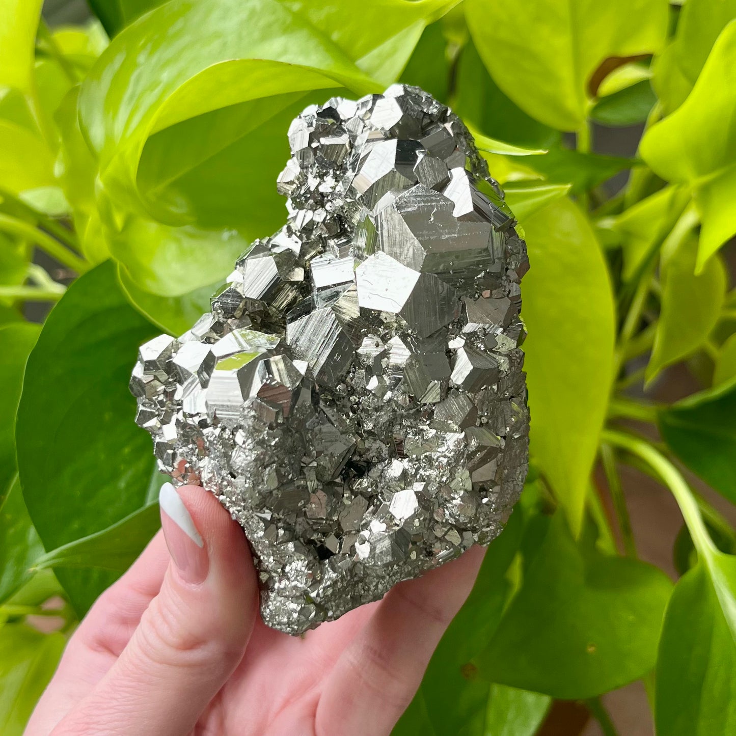 Pyrite Specimen