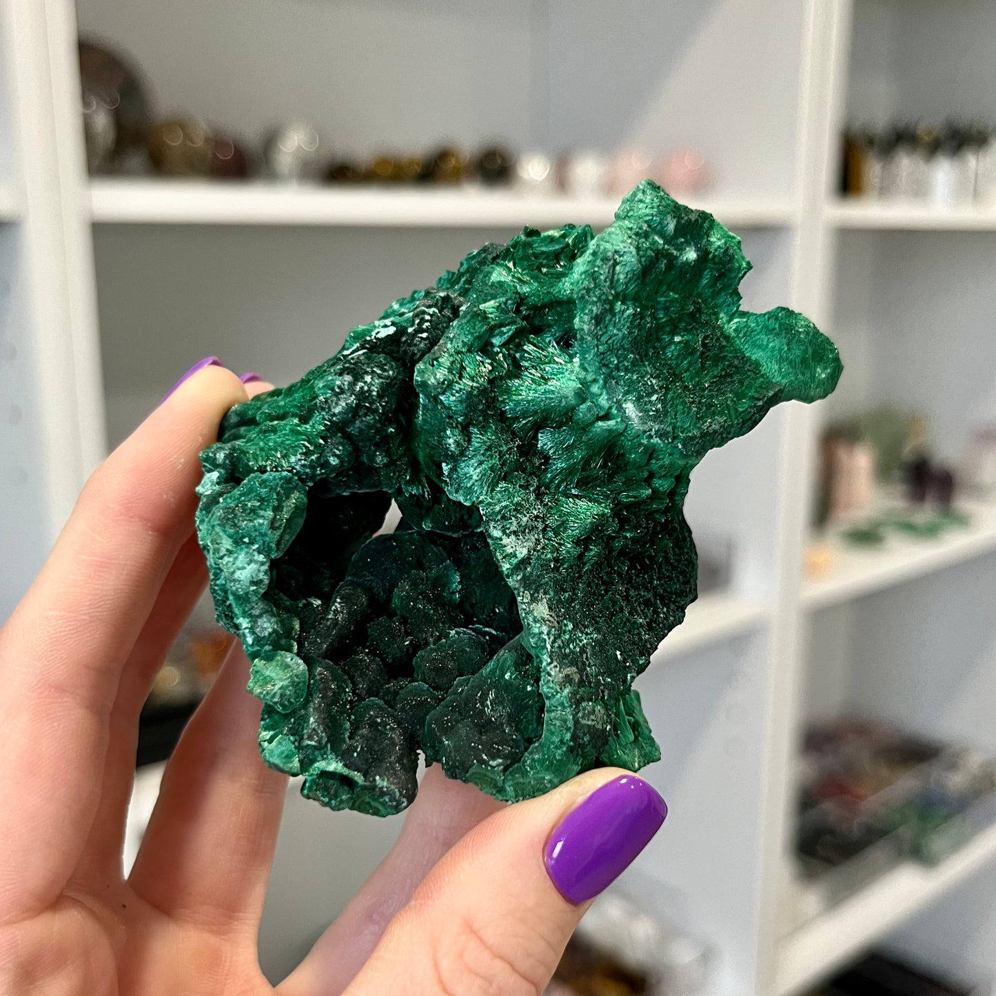 Velvet Malachite
