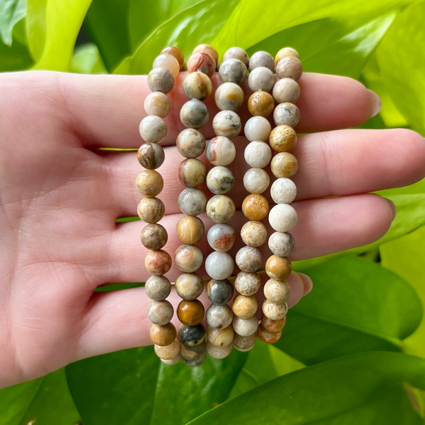 Crazy Lace Jasper 6mm Bracelet
