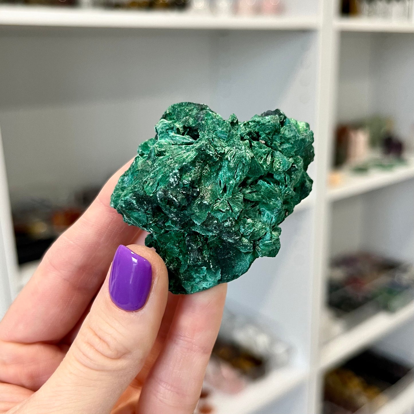 Velvet Malachite