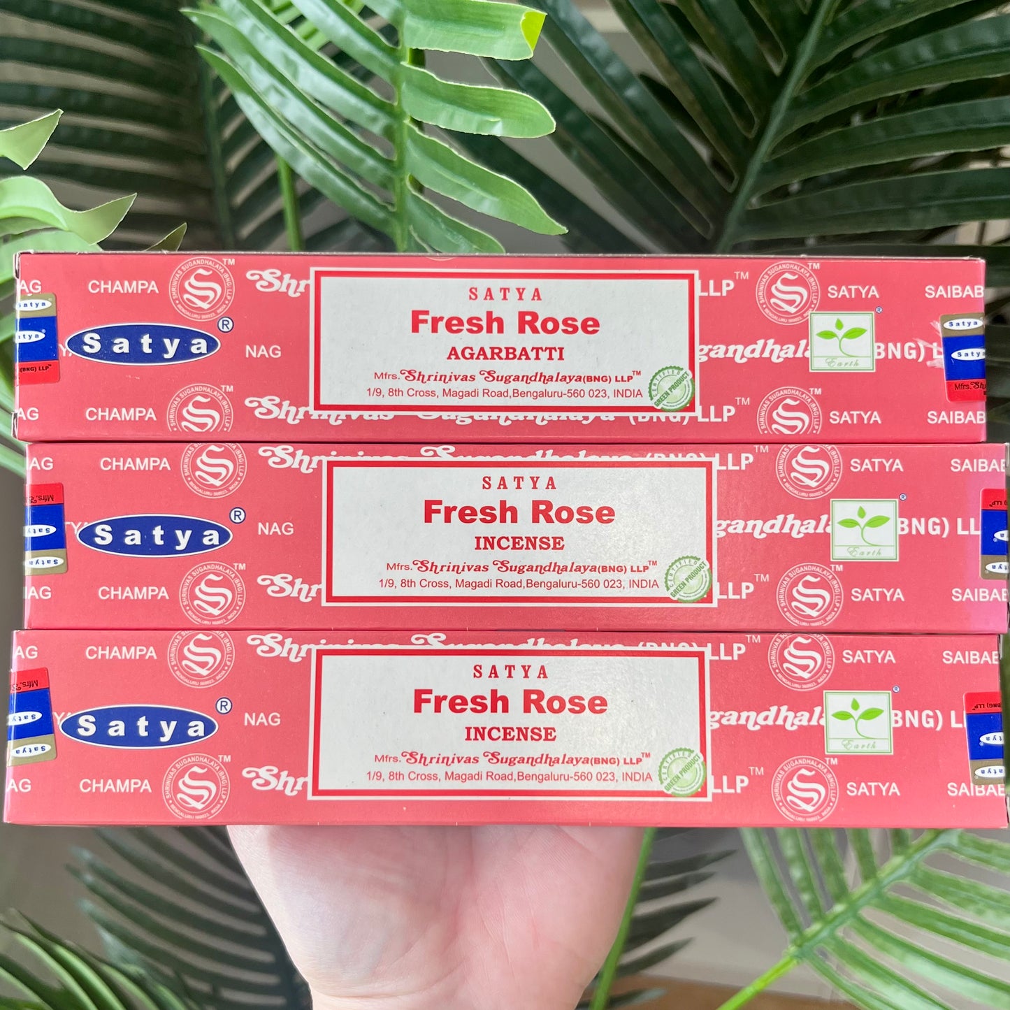 Fresh Rose Incense Sticks