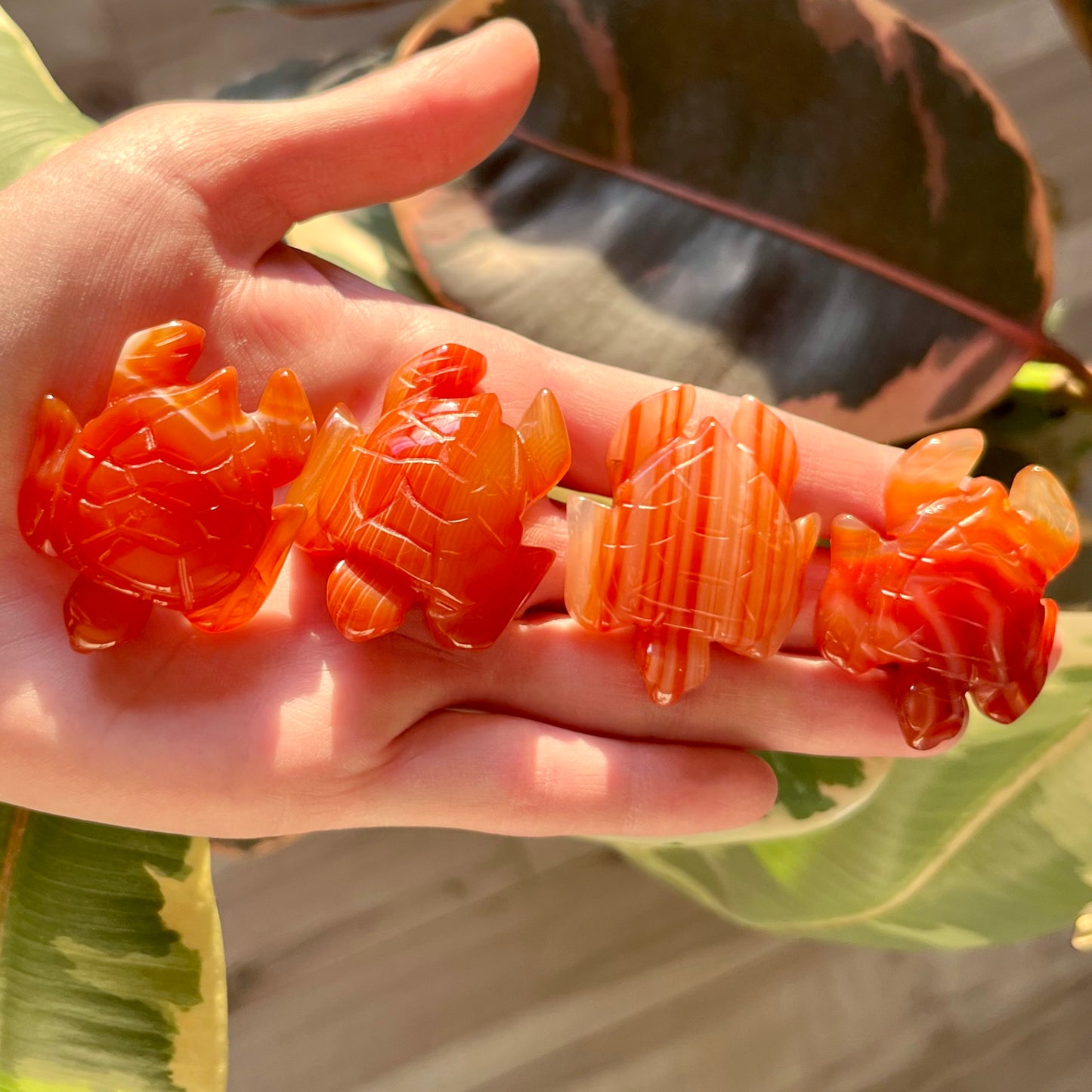 Carnelian Crystal Turtle Crystal Carving