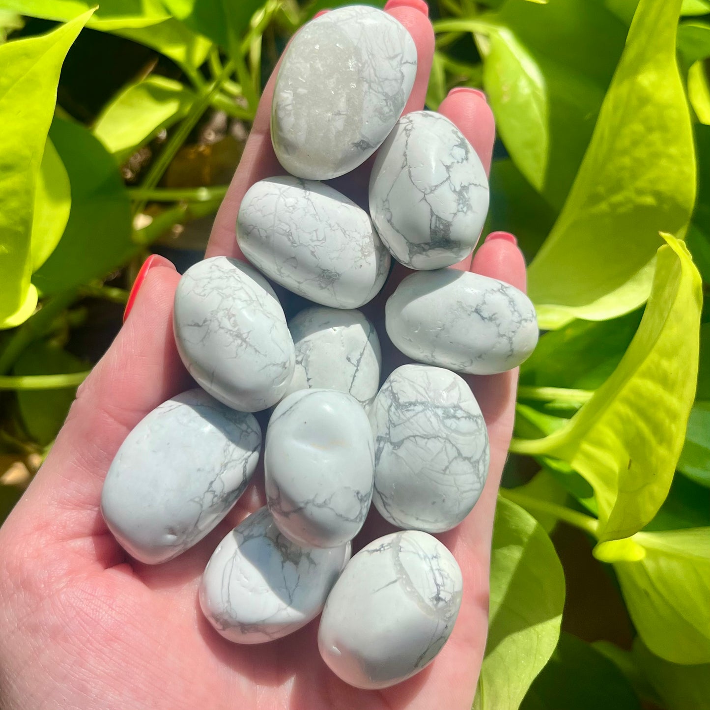 Howlite Tumble