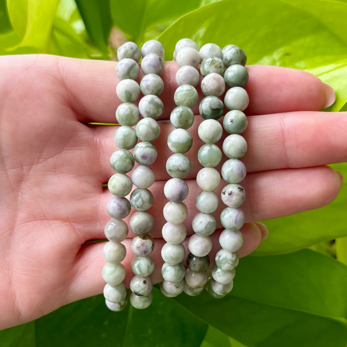 Peace Jade 6mm Bracelet