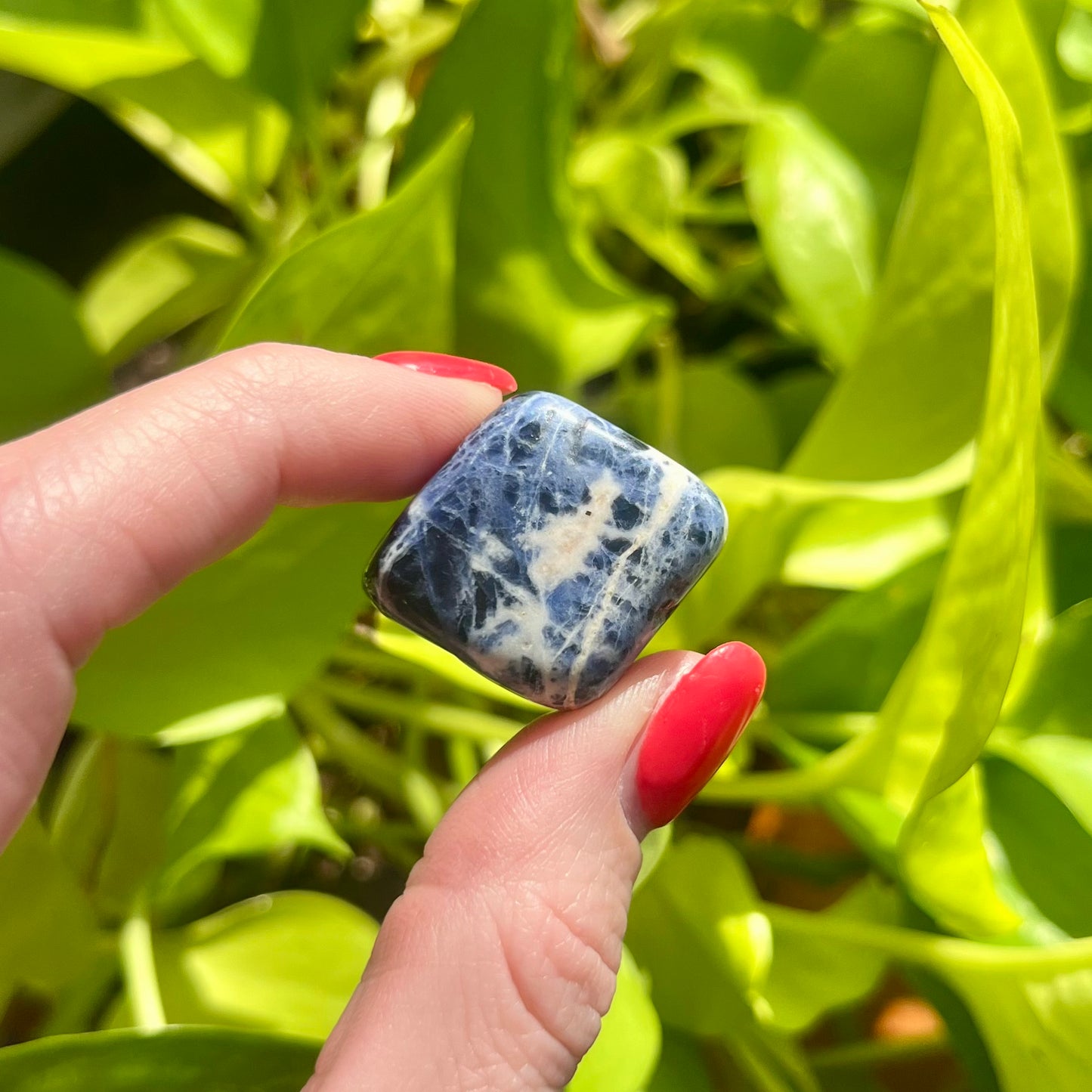 Sodalite Tumble