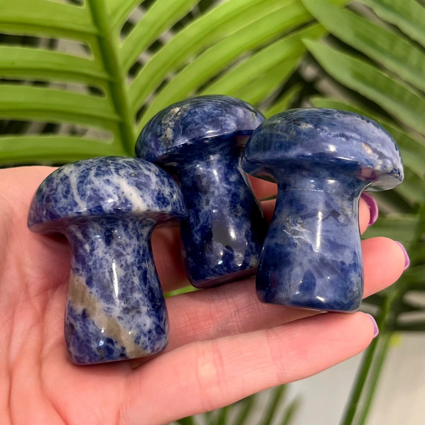 Large Sodalite Crystal Carving Mushroom