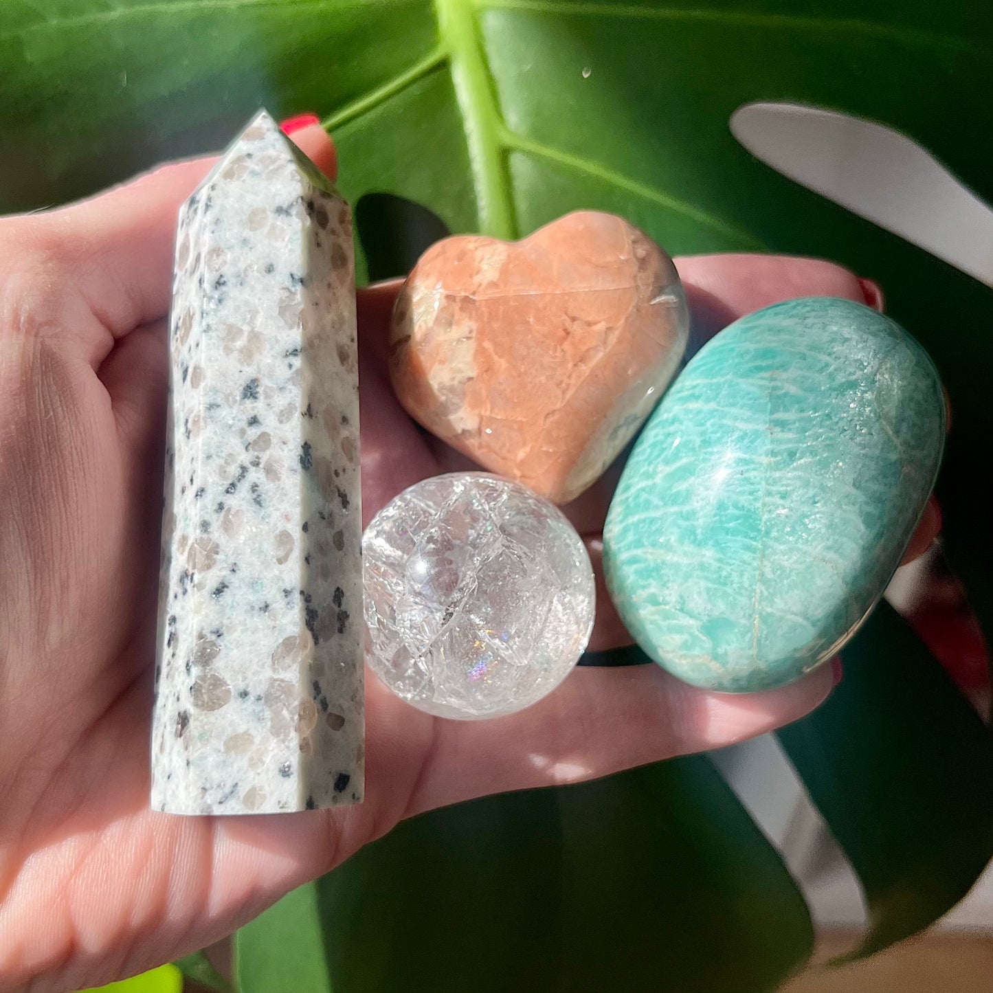 Lyss Picks Mystery Box