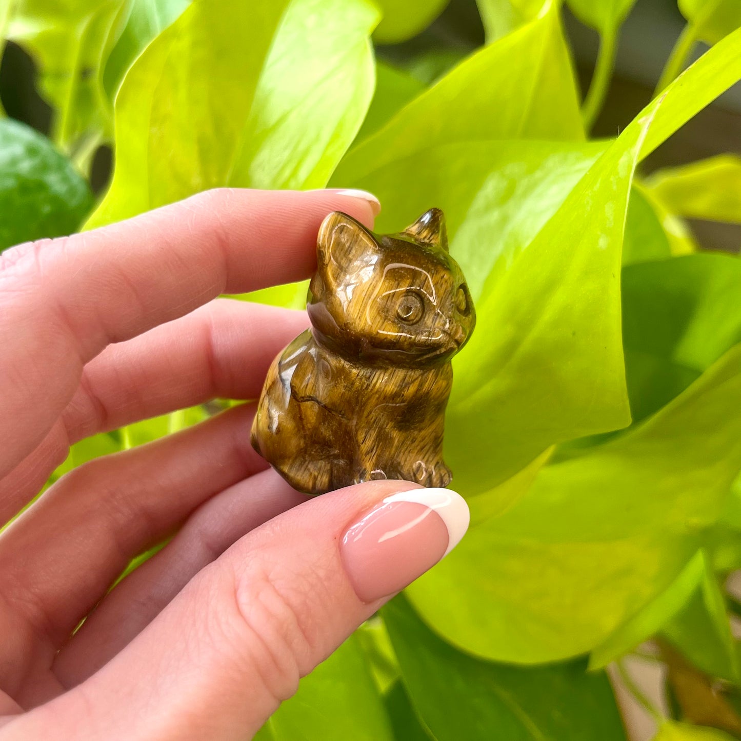 Crystal Kitty Carving