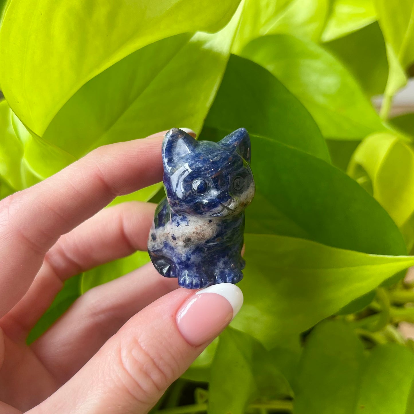 Crystal Kitty Carving