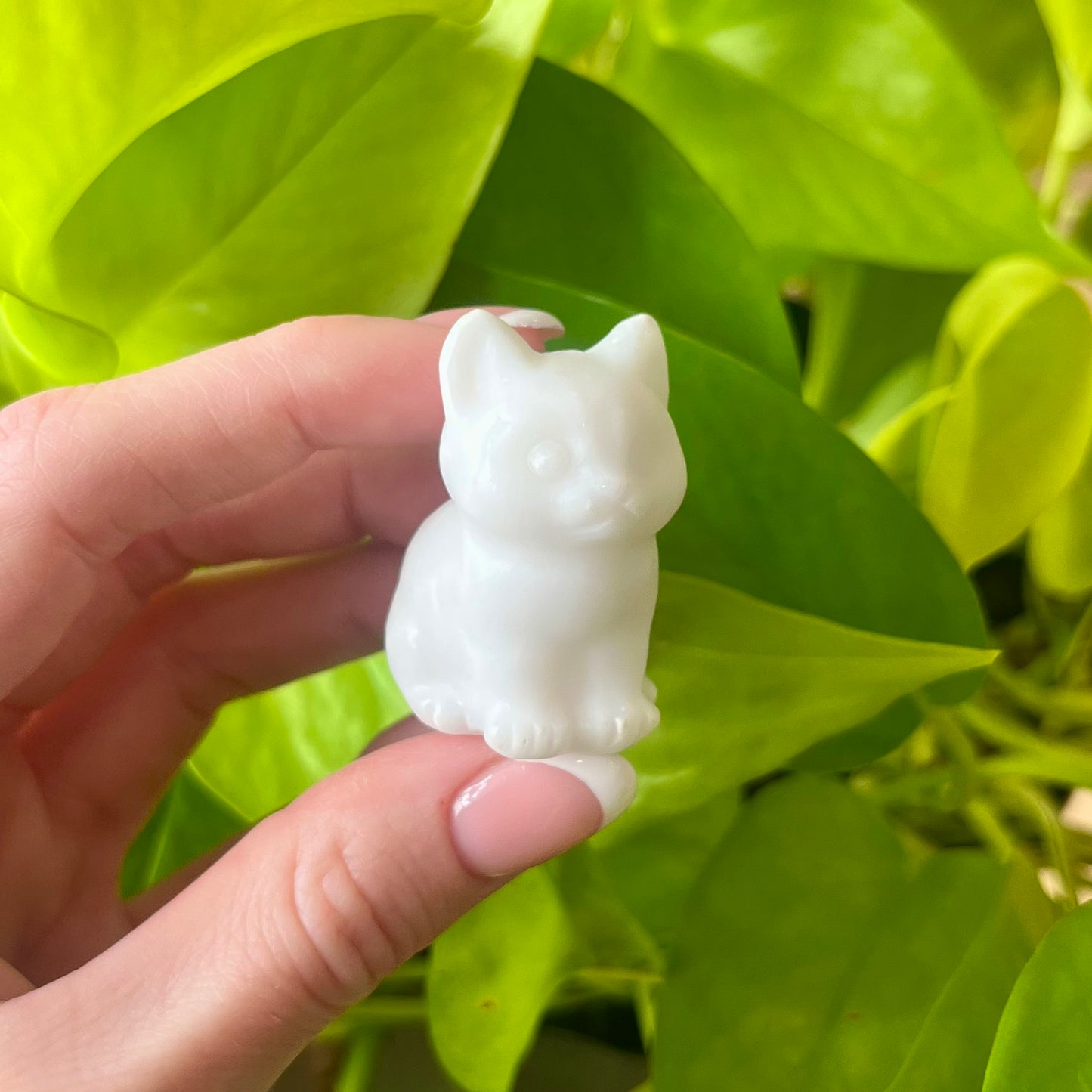 Crystal Kitty Carving