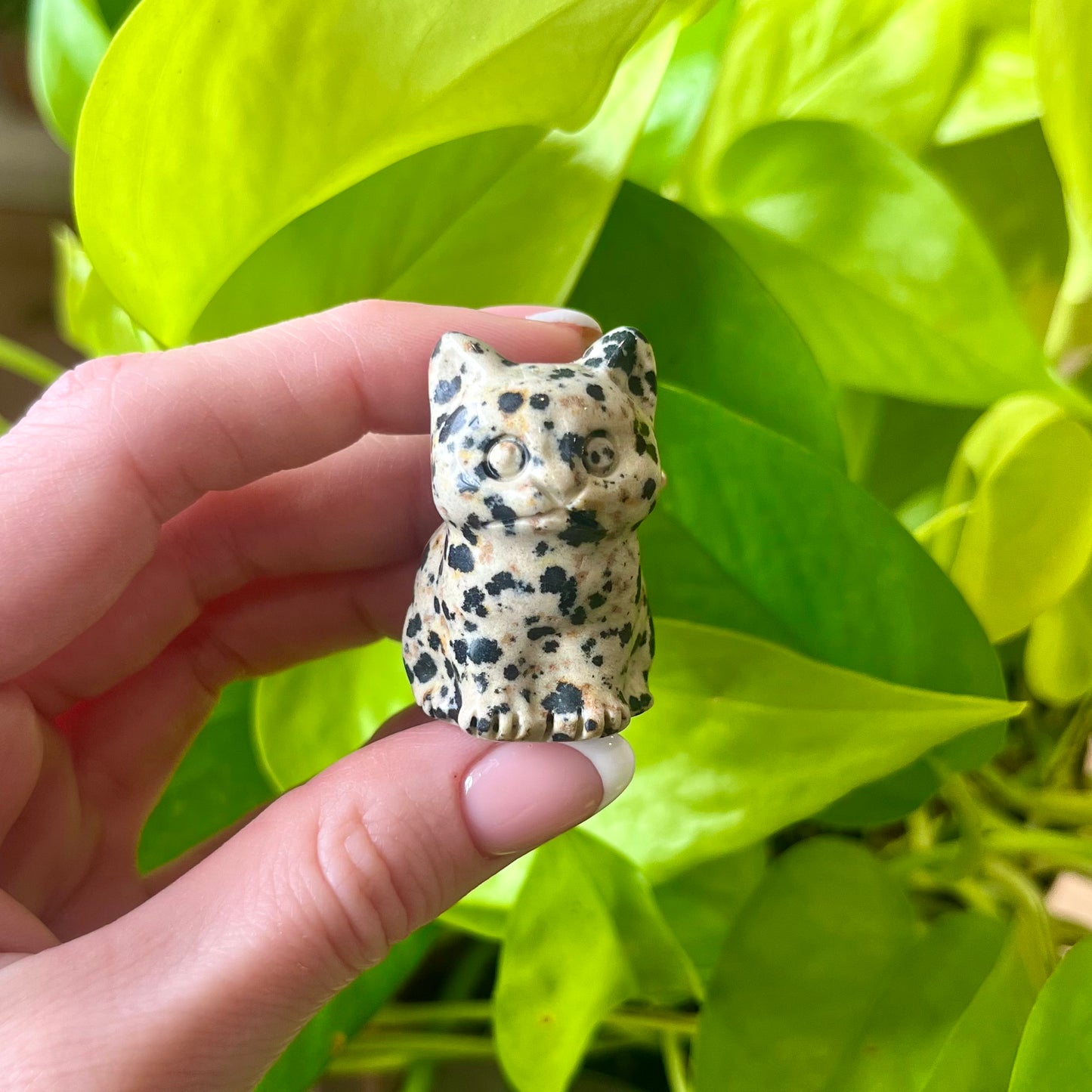 Crystal Kitty Carving
