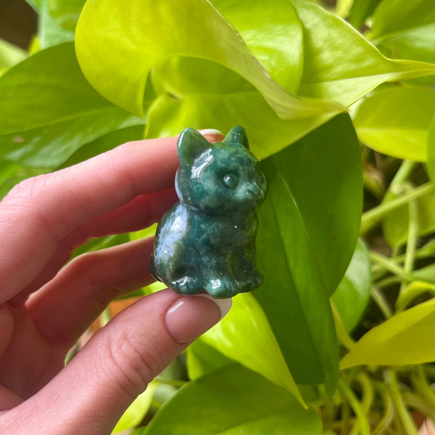 Crystal Kitty Carving