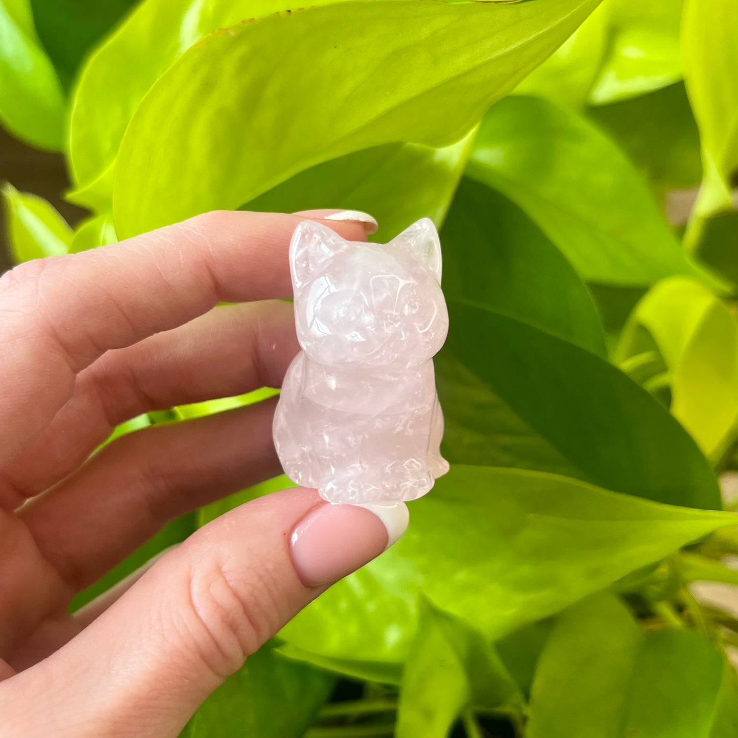 Crystal Kitty Carving