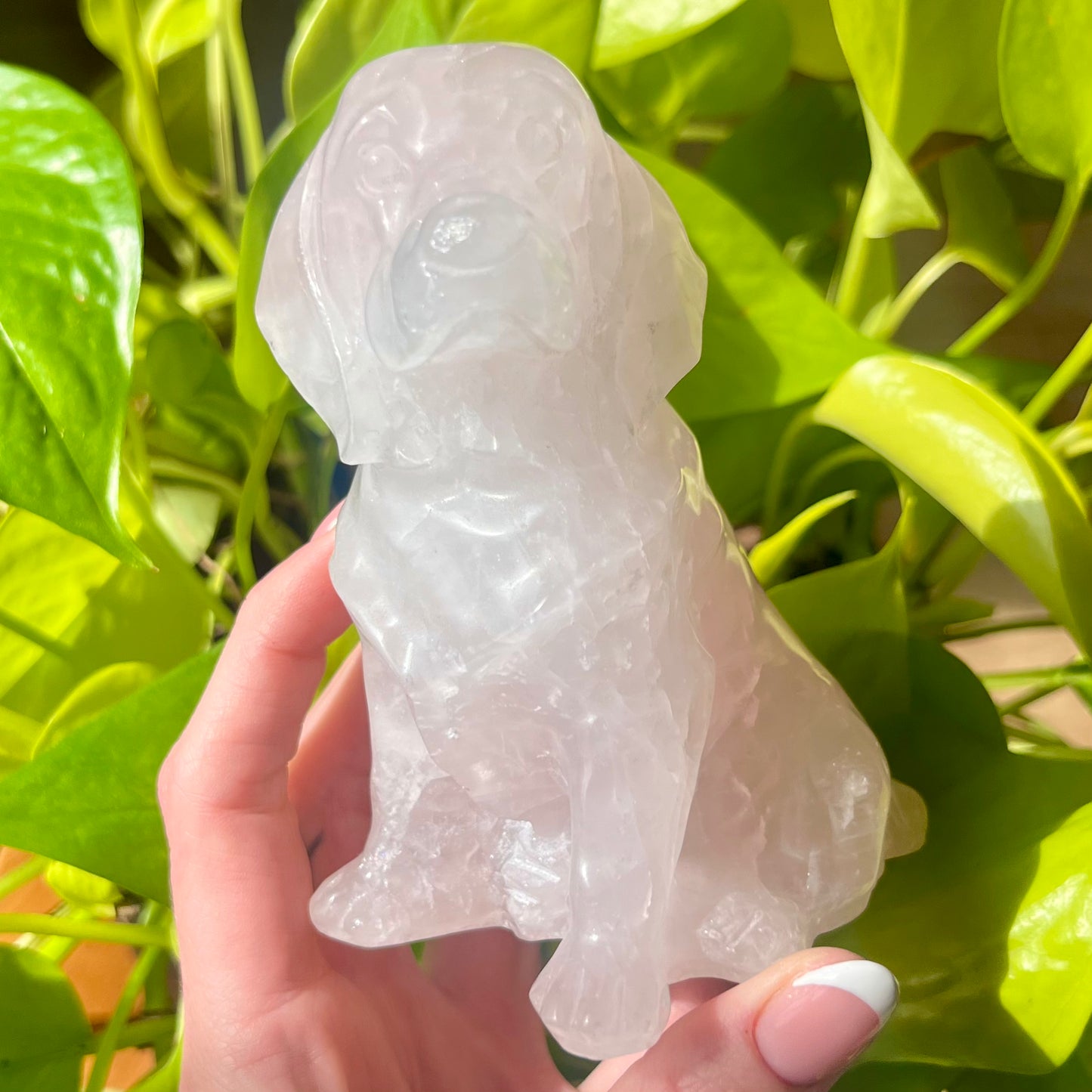 Rose Quartz Crystal Pup