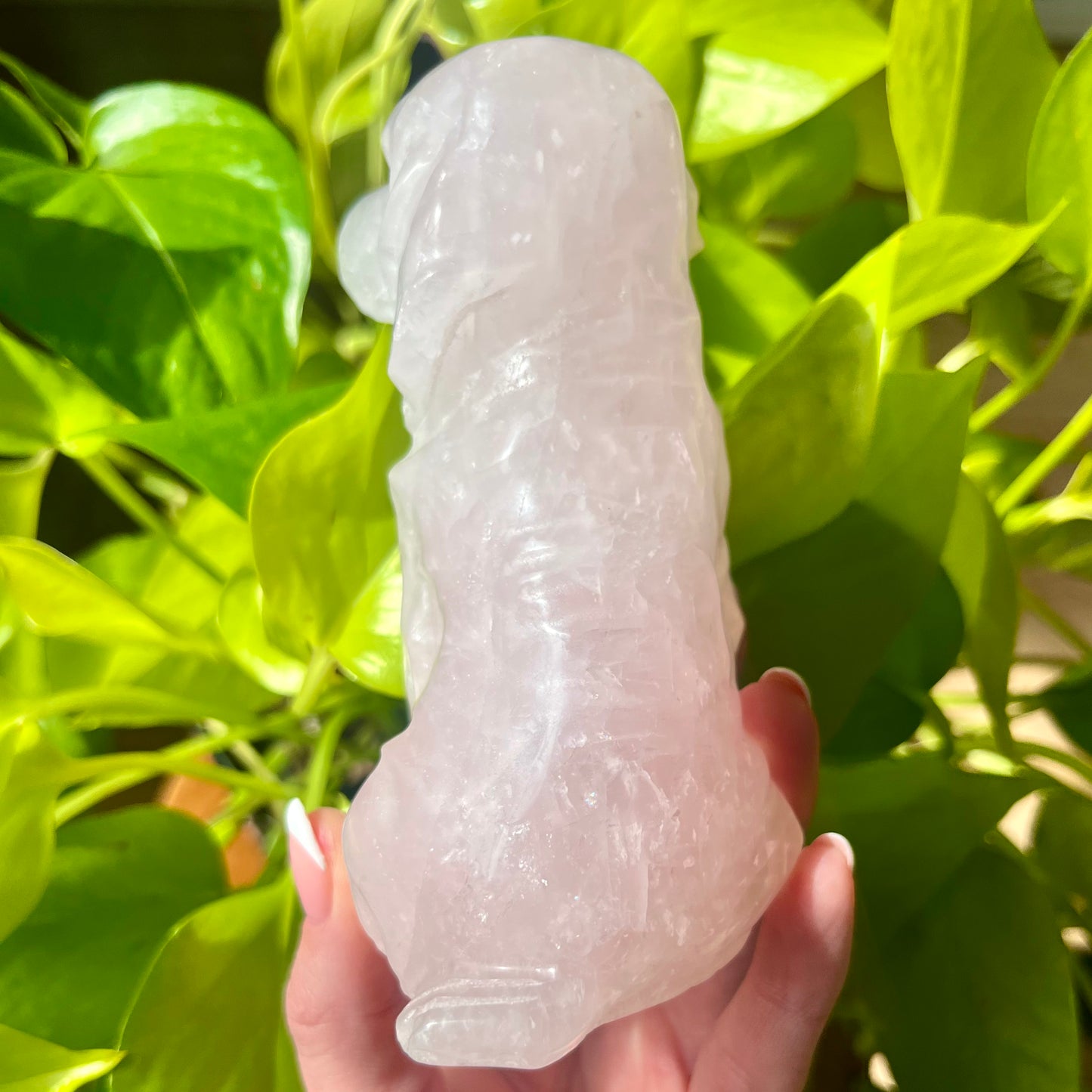 Rose Quartz Crystal Pup