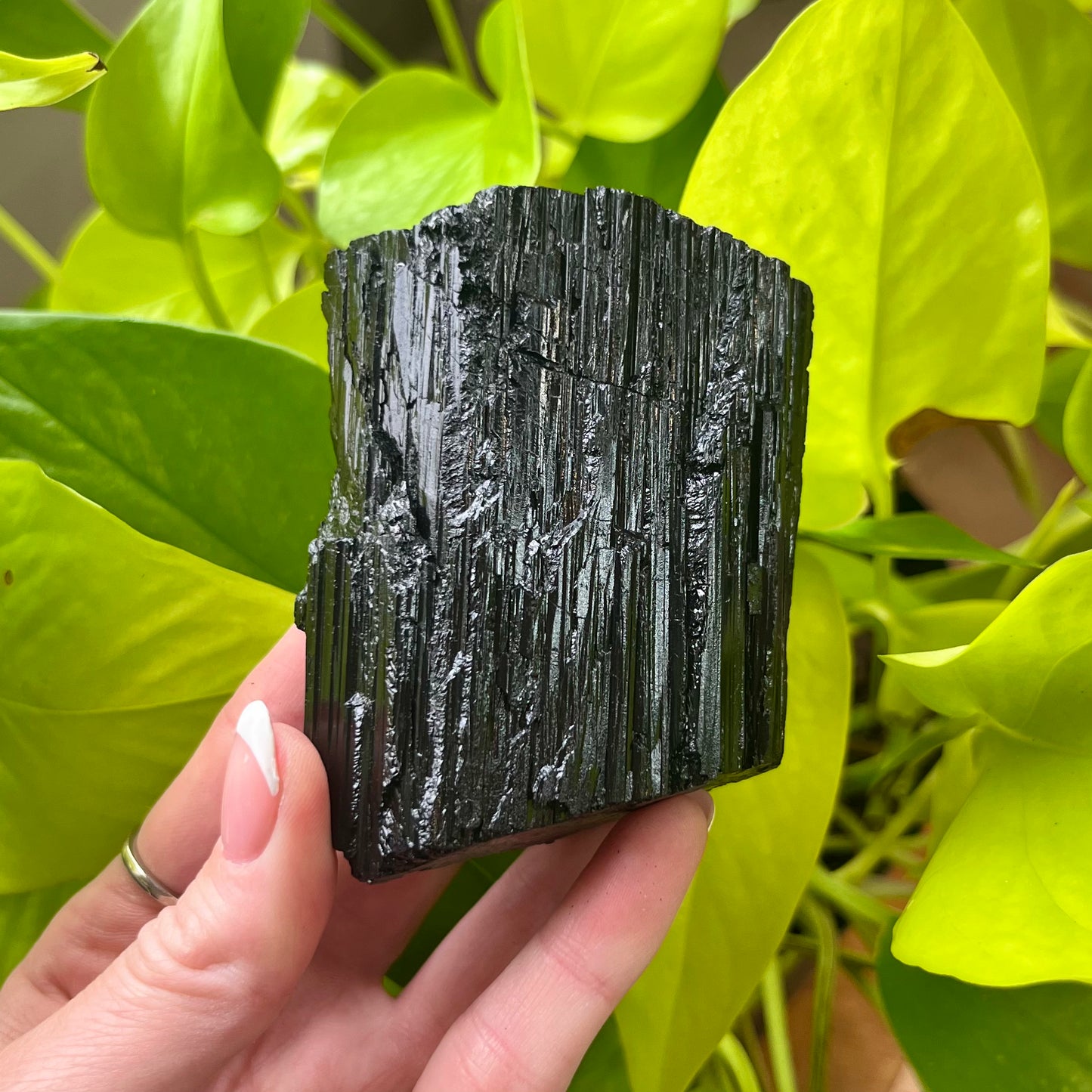 Large Black Tourmaline