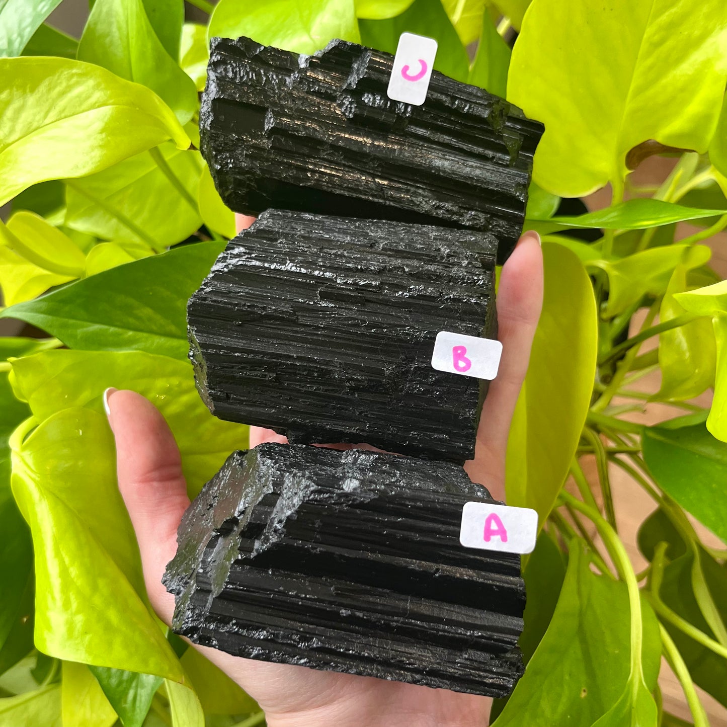 Large Black Tourmaline
