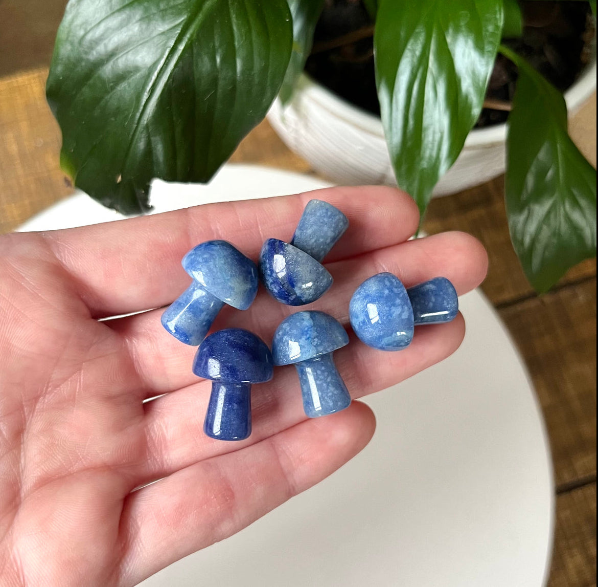 Mini Mushrooms