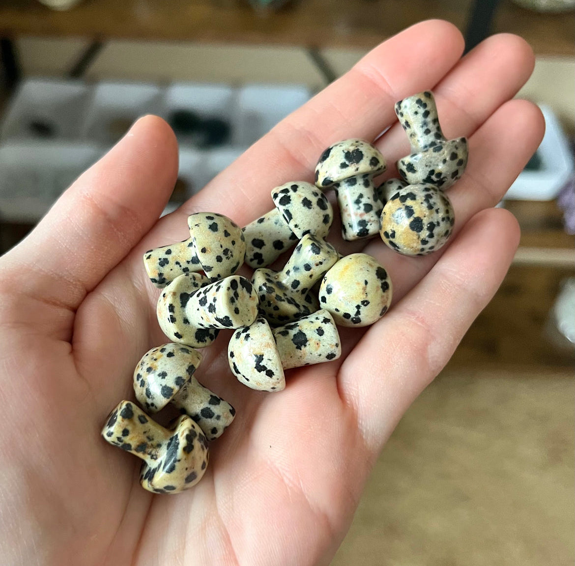 Mini Mushrooms