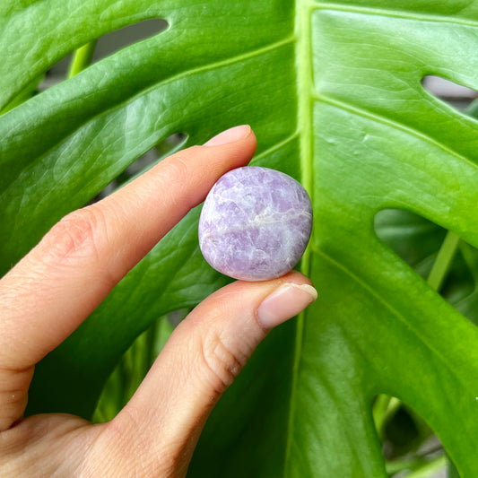 Lepidolite Crystal Tumble