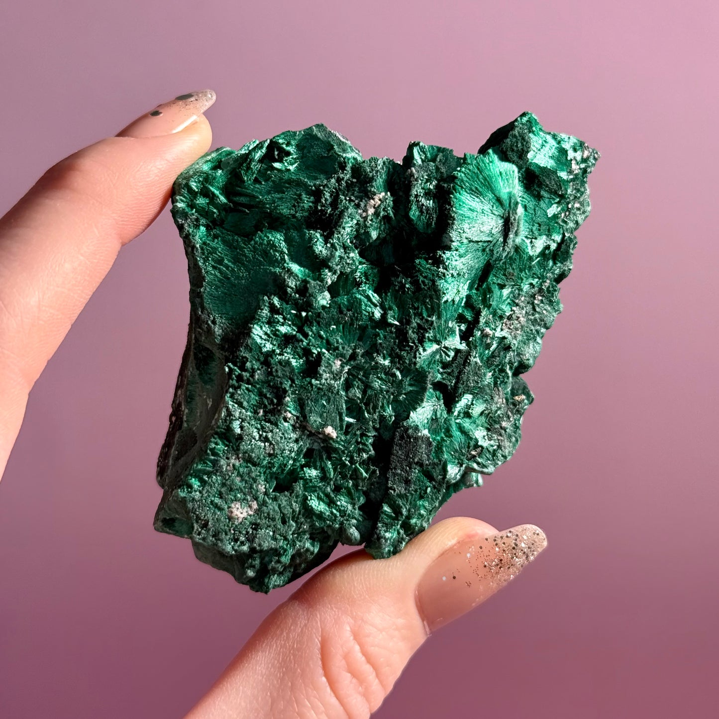 Velvet Malachite