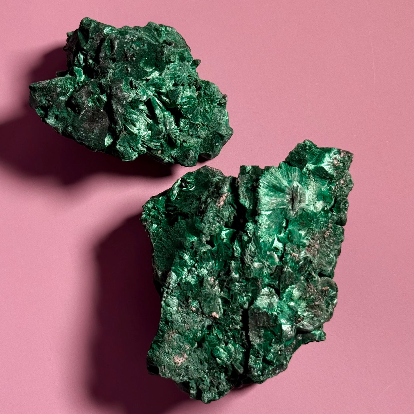 Velvet Malachite