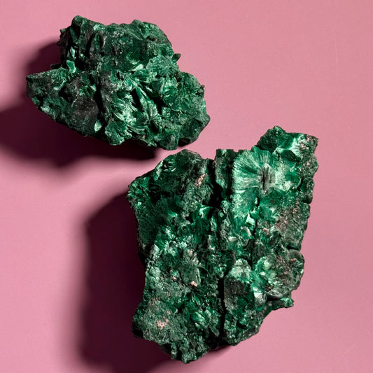 Velvet Malachite