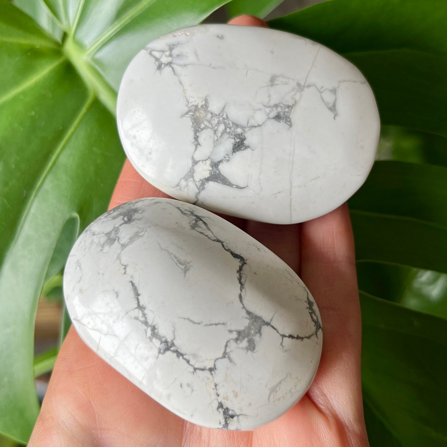 Howlite Crystal Natural Palm Stone