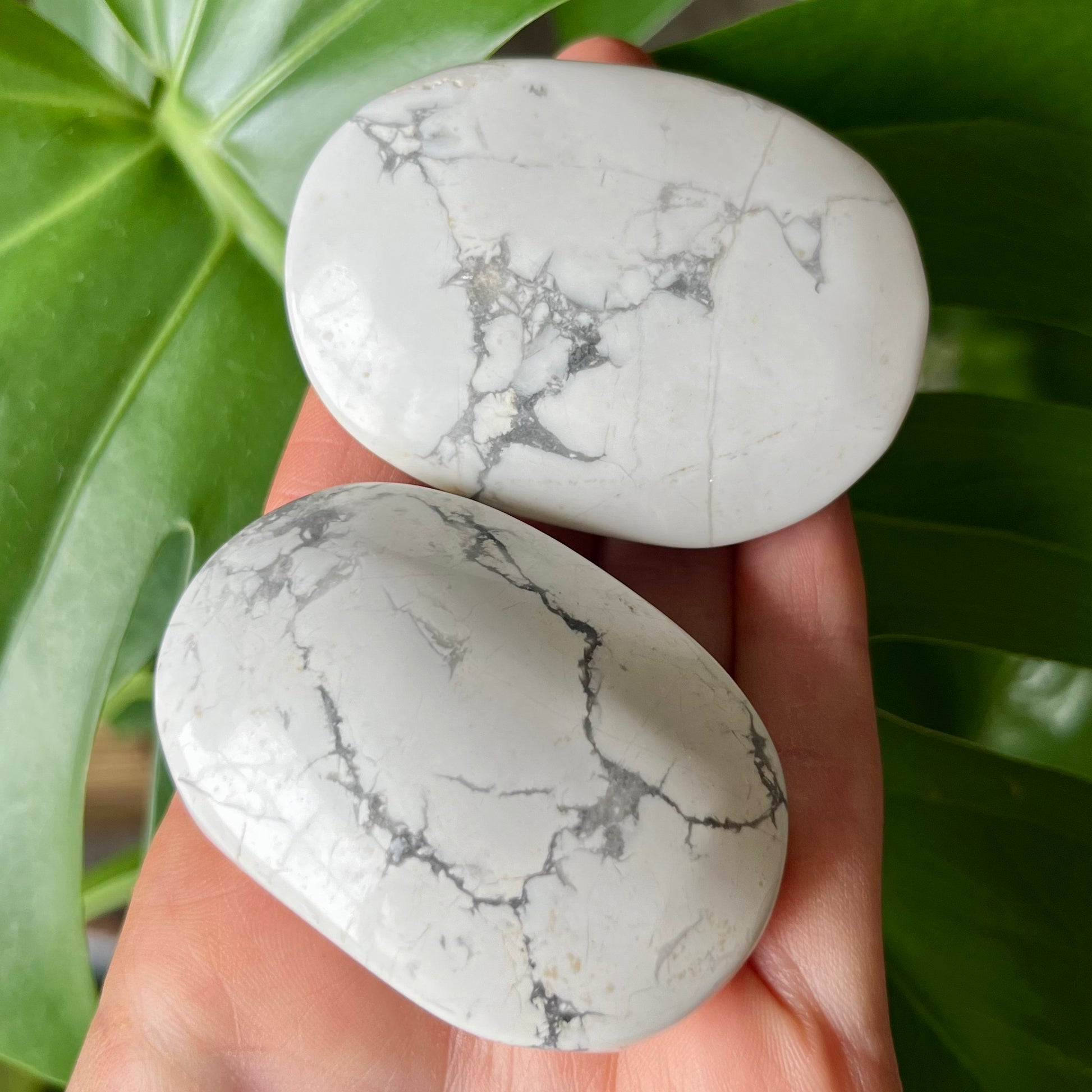 Howlite Crystal Natural Palm Stone