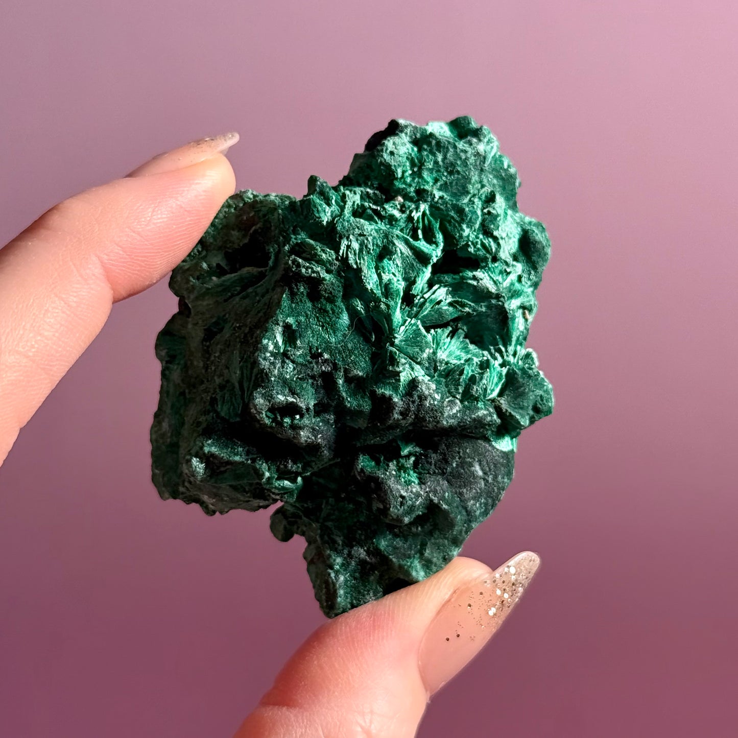Velvet Malachite
