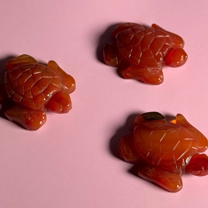 Carnelian Turtle