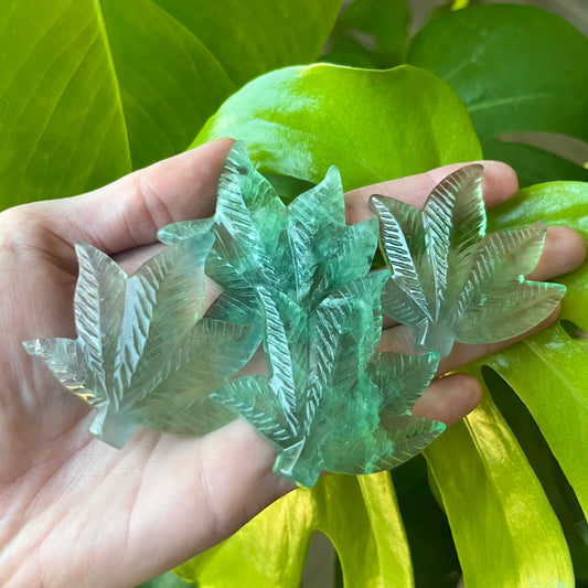 Green Fluorite Natural Crystal Marijuana Leaf