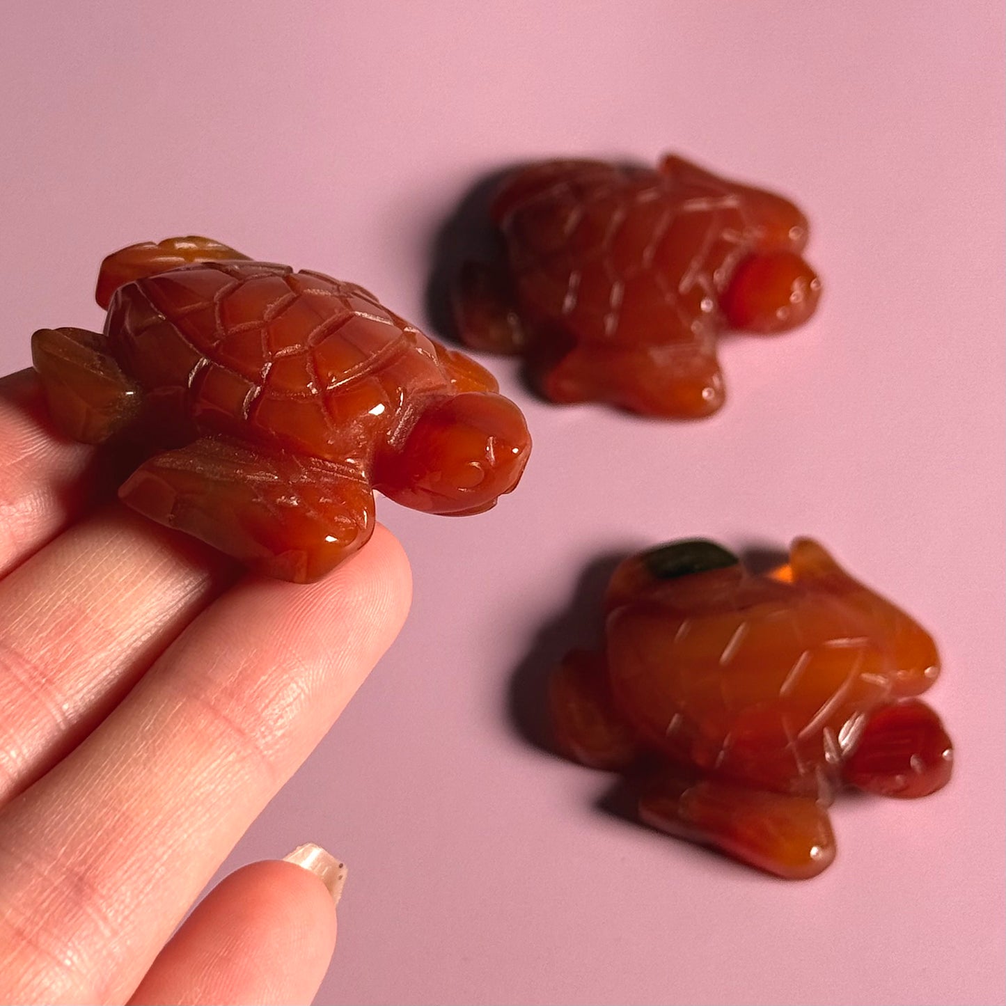 Carnelian Turtle