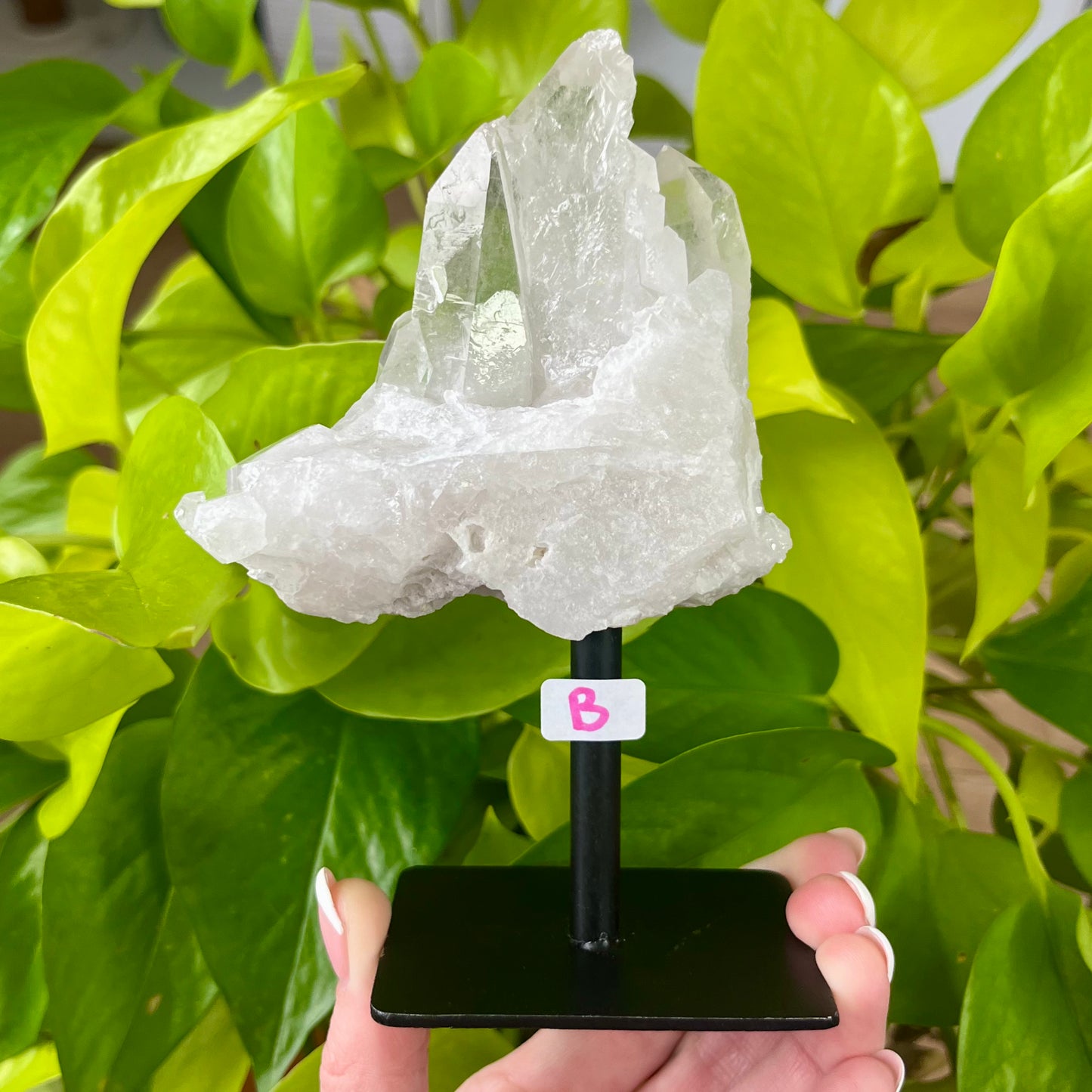 Standing Quartz Cluster