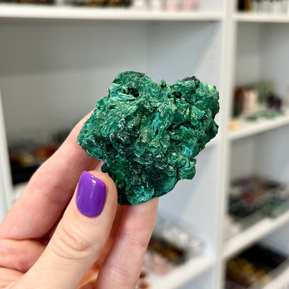 Velvet Malachite