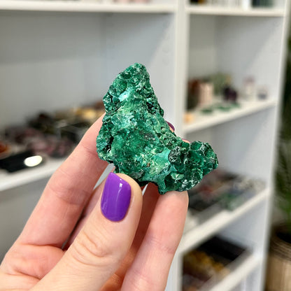 Velvet Malachite