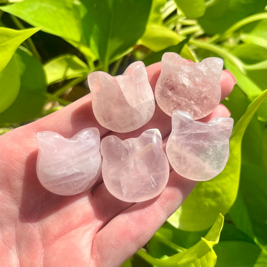 Rose Quartz Kitty Face