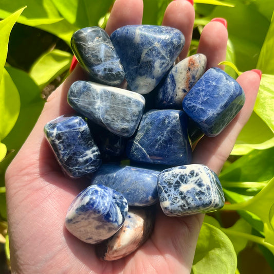 Sodalite Tumble