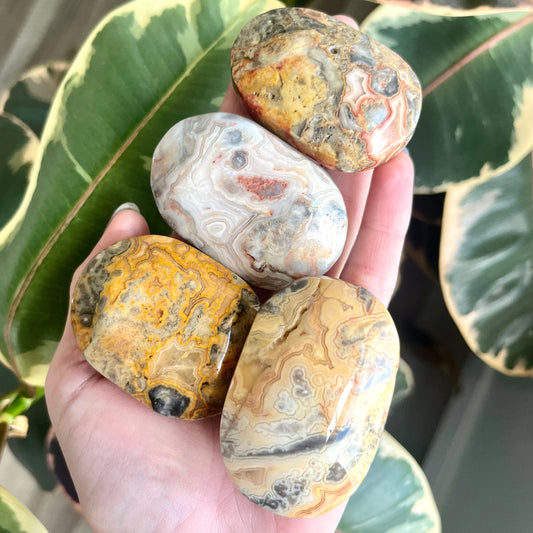 Crazy Lace Crystal Palm Stone