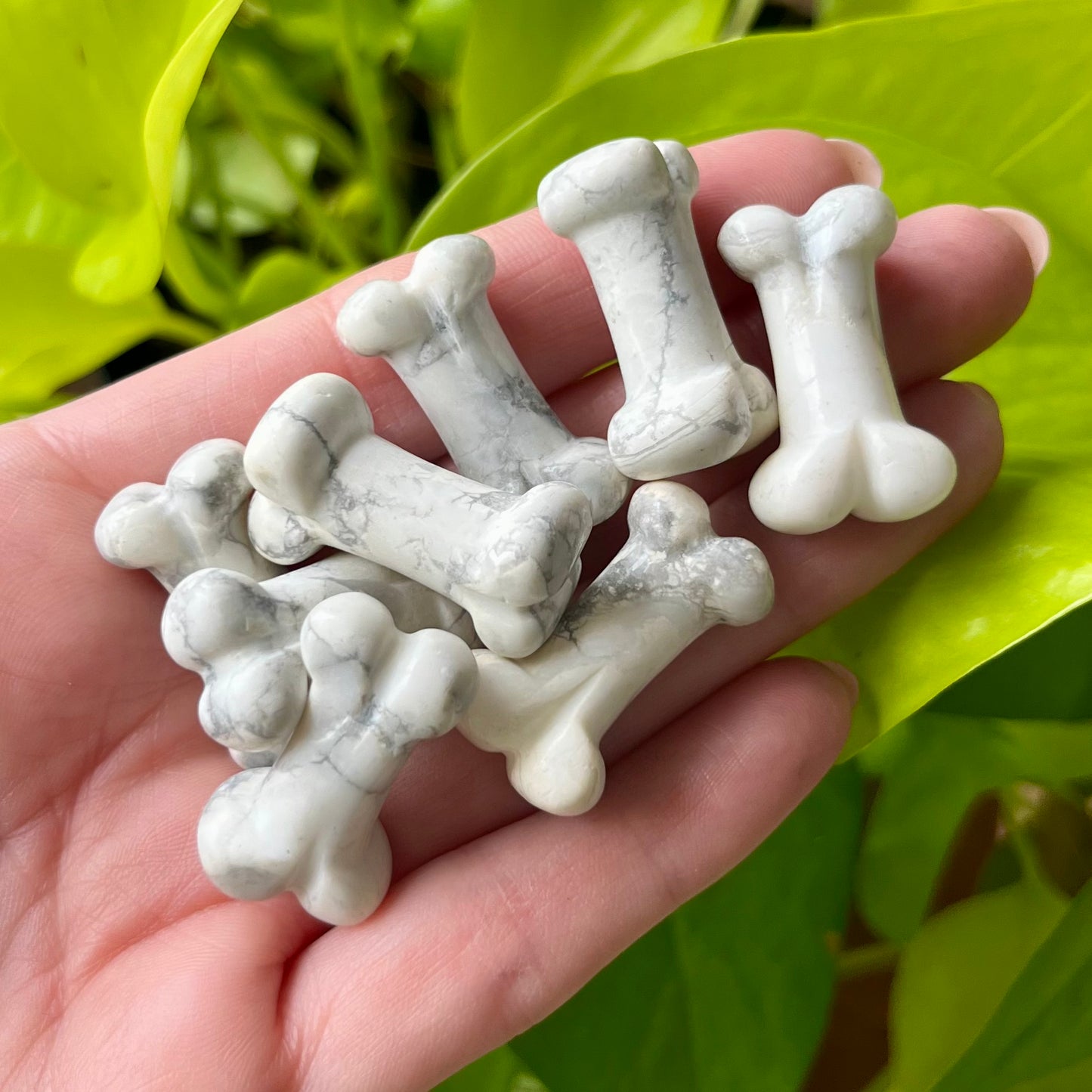 Howlite Bone