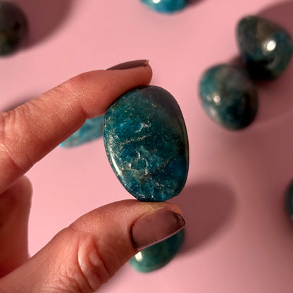Blue Apatite Tumble