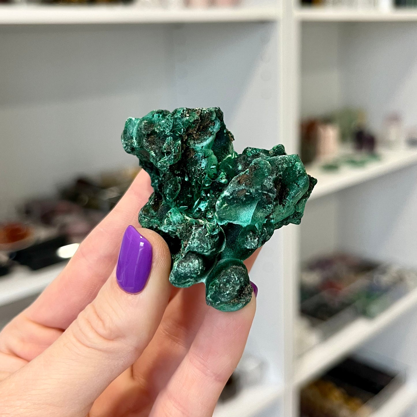 Velvet Malachite
