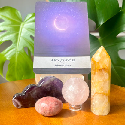 Guided Mystery Box