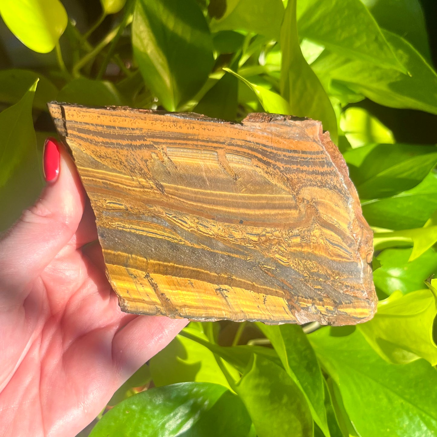 Tiger Eye Slab