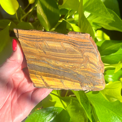 Tiger Eye Slab